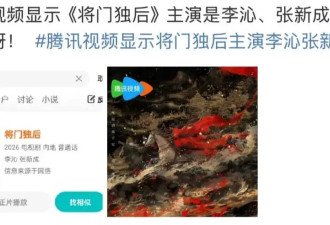 给烂古偶选角，饭圈女孩盛大的自娱自乐
