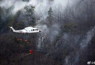 韩国山火已致4名消防员遇难，多地进入"灾难状态"
