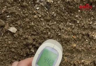 柳州一处地面莫名发烫，温度最高达44.2℃！