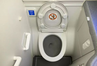 高空便秘!他上厕所到一半,遭机长破门拖走"被迫露鸟"