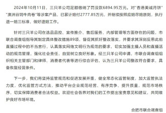 官方通报三只羊调查处置情况：已具备恢复经营条件