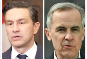 民调发现：此次联邦选举几乎是自由党和保守党之间双雄对决