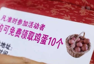 老太领免费鸡蛋后被起诉 几大骗局专坑老年人