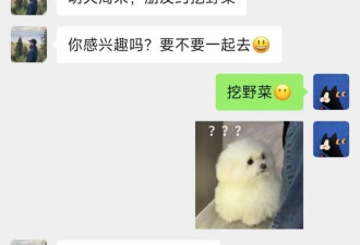 上海最狠的相亲方式:一起挖野菜 最深情的暗示