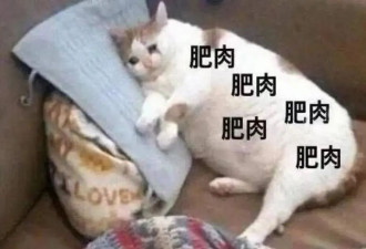 睡得晚 vs 睡得少，哪个危害更大？