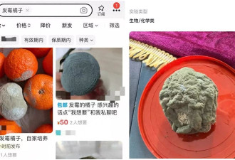 单价高达599元！二手平台热卖“发霉橘子” 卖家这样说