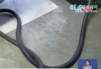 充电时突遭“枪击” 缝了8针..新能源车主注意了!