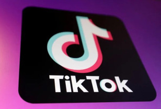 TikTok谈判有新进展 非中资将加码持股