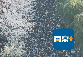 直击南京著名赏樱地人潮…太吓人了