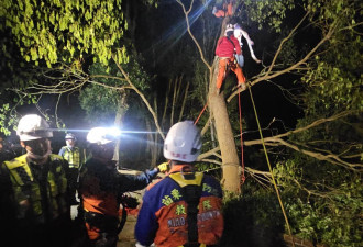 离奇命案：70岁老翁连人带电锯挂在树上惨死…