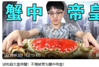 顶流UP主被骗超千万出镜诉苦，"餐饮大佬"卷钱...