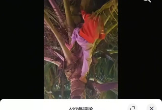 “海南漂流小孩哥”被扒出“调皮黑历史”？知情人回应