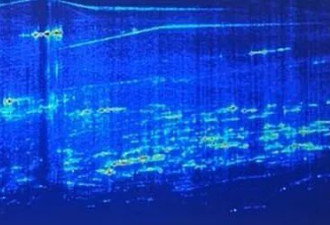 金字塔下惊现“幽冥之城”？卫星扫描揭千米地下谜团