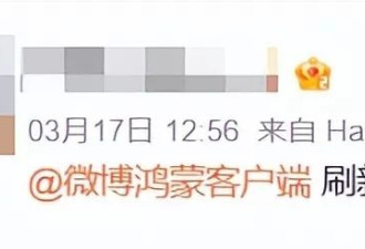 鸿蒙系统到底行不行，我们问了几位开发者的感受