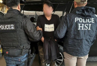 ICE突袭南加多地 有华人被逮捕 共同点是这