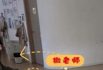 48岁撒贝宁憔悴遛娃！李白红衣很抢镜，混血龙凤胎颜值爆表！
