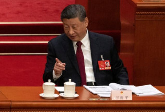 习自曝要退位 或已身不由已