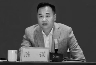 广东省廉江副市长陈谋，突发心梗逝世，终年53岁