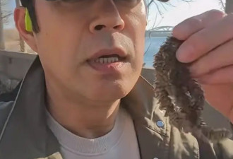 53岁刘钧住京郊，捡“杨树毛”包包子，网友：第一次听说这能吃