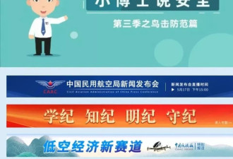 用300块骗17万，航班诈骗有多离谱?