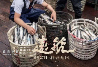 公海杀人案:印度洋杀人抛海 渔船杀人有多惨烈?