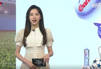 央视主持人，上新了，央视网上更新了主持人名单
