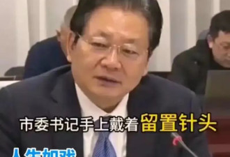 市委书记“忏悔书”曝光:政治骗子被抓后,引发官场震荡