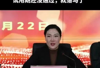 市委书记“忏悔书”曝光:政治骗子被抓后,引发官场震荡