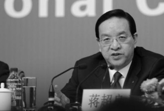 蒋超良被提请罢免全国人大代表职务