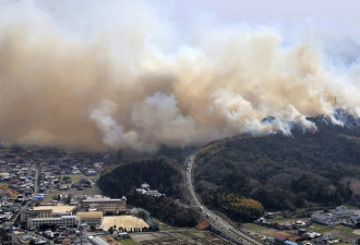 不只韩国 日本野火烧4县 居民：焦虑、痛苦
