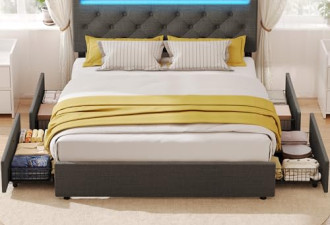 6.8 折，Queen Size 床架，带4个抽屉可充电，帶可调式床头板和灯