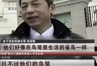 徐子淇坐拥千亿身家 保镖却说 她像生活在笼子里的雀鸟一样