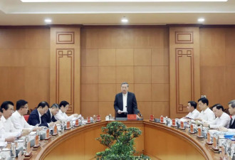 越南：4大案件，被列入中央督查名单...