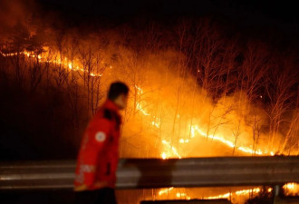 韩国最严重山火已致26人遇难,过火面积超半个首尔