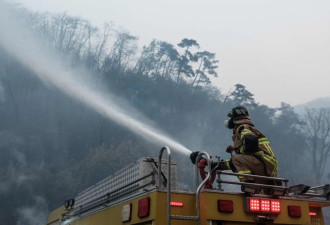 韩国最严重山火已致26人遇难,过火面积超半个首尔