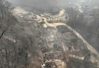 韩国最严重山火已致26人遇难,过火面积超半个首尔