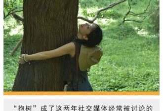 打工人午休新姿势：抱紧楼下那棵树