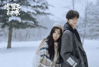 最近热播且很火的五部剧 《黄雀》排第三 你在追哪一部？
