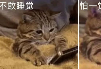 低收入+缺觉：又忙又穷，又困又肥，还容易早死
