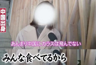 日本著名综艺“造谣中国人吃乌鸦”事件发酵