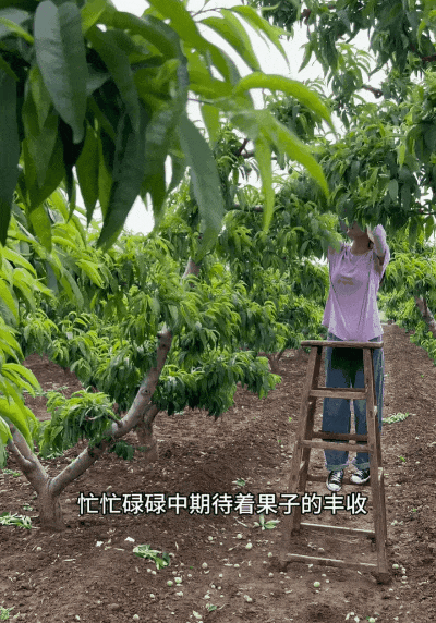 "全网最想娶的女人"走红