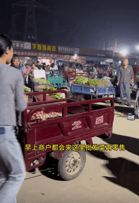 "全网最想娶的女人"走红