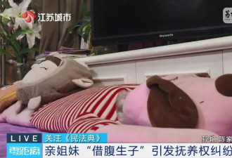 亲姐妹“借腹生子”，姐姐反悔起诉争抚养权