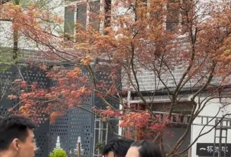50岁刘恺威被嘲“街头鬼鼠”！上唇离奇消失惊全网