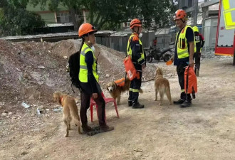 18岁中国女留学生赴曼谷地震现场救援:废墟很多人