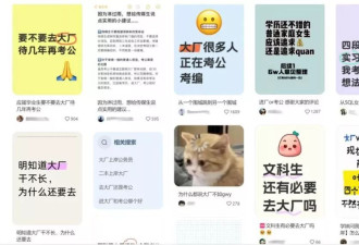 当代毕业生：白天大厂实习，晚上备考编制