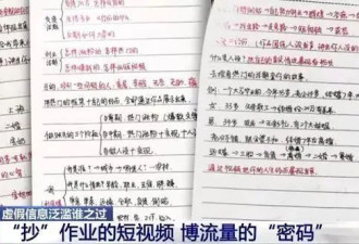 算法养猪场 批量生产AI排泄物
