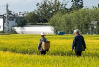 多位专家建言 上调中国农民养老金