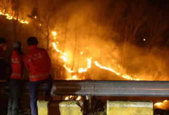 韩国森林大火重新爆发，死亡人数增加到30个
