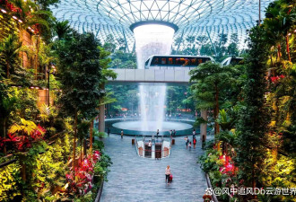 新加坡买什么便宜划算：精打细算的旅行购物攻略